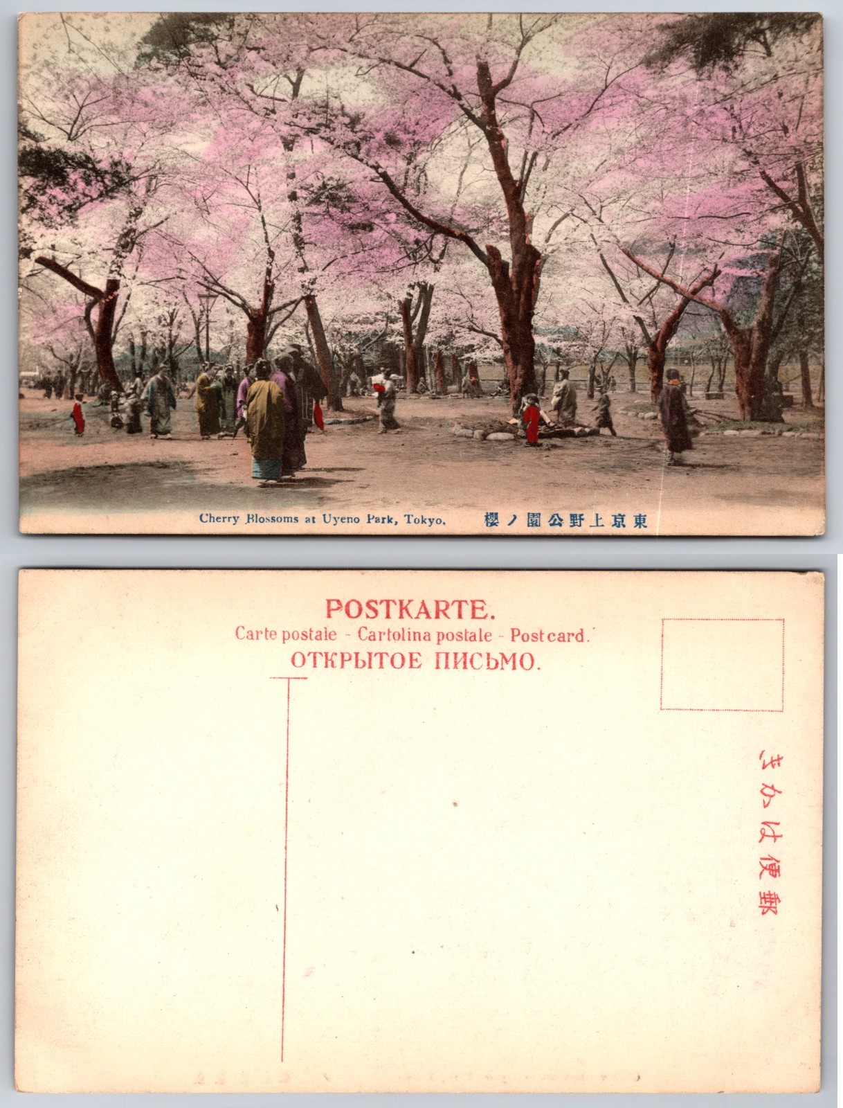 Ueno Park Tokyo Cherry Blossoms Postcard