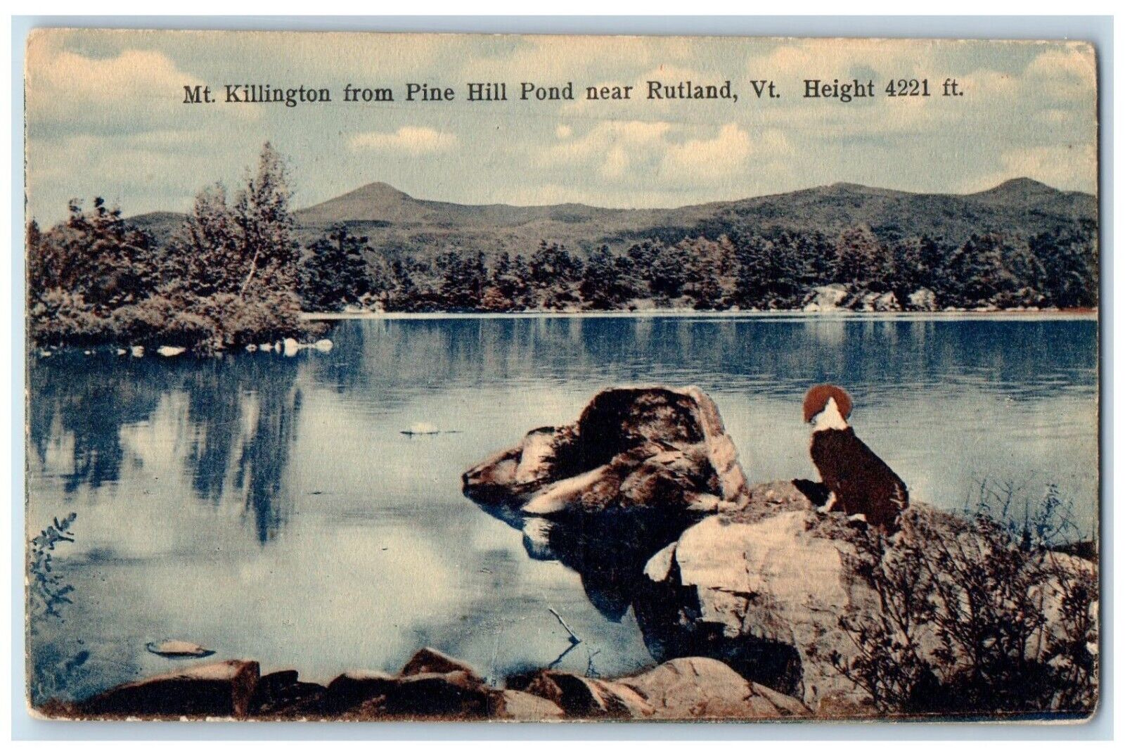 1916 Mt. Killington From Pine Hill Pond Near Rutland Vermont VT Dog Postcard
