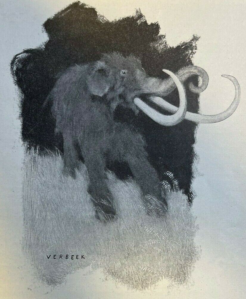 1899 Killing of the Conradi Mammoth Smithsonian Museum Henry Tukeman