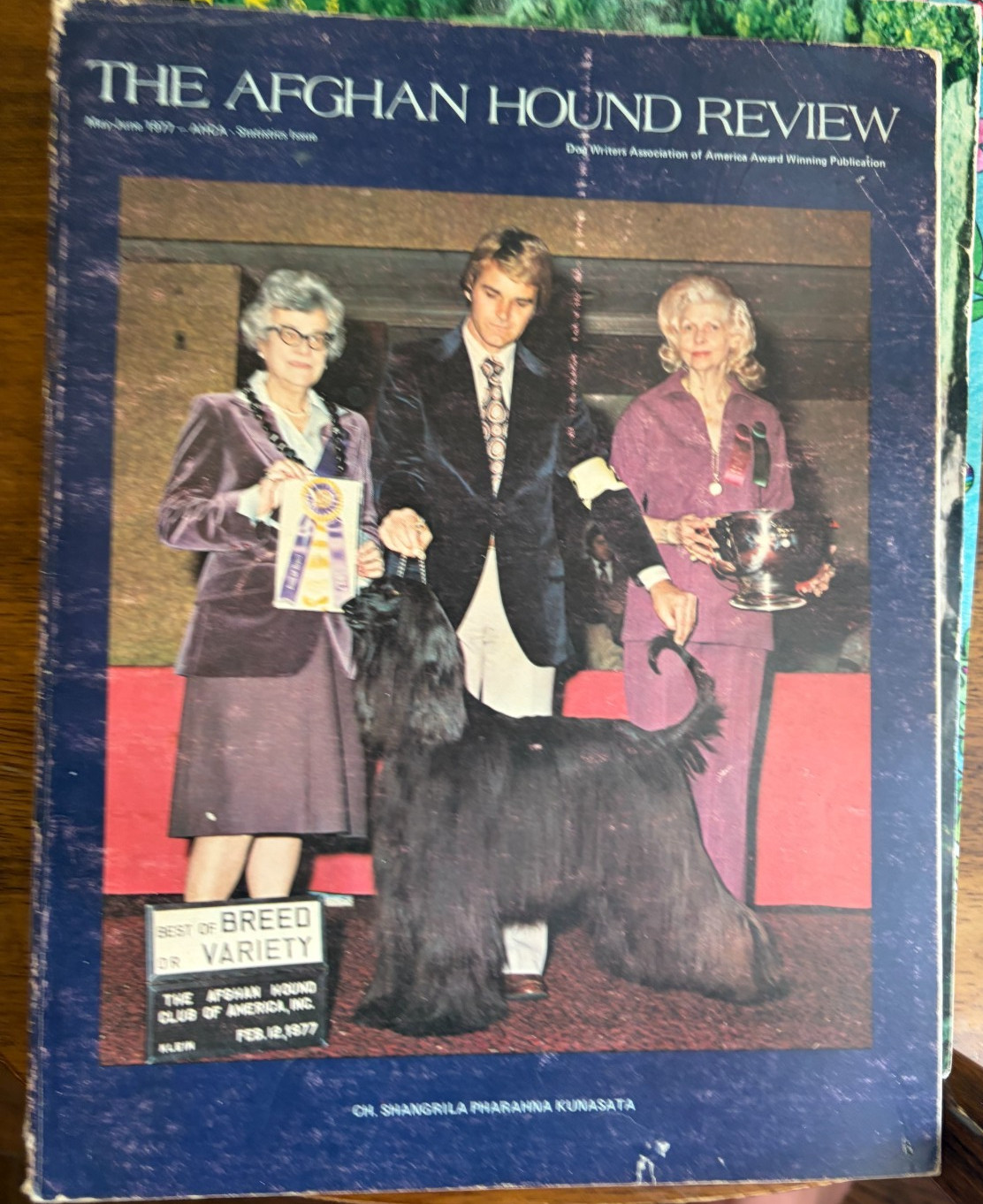 THE AFGHAN HOUND REVIEW May June 1977 Rare