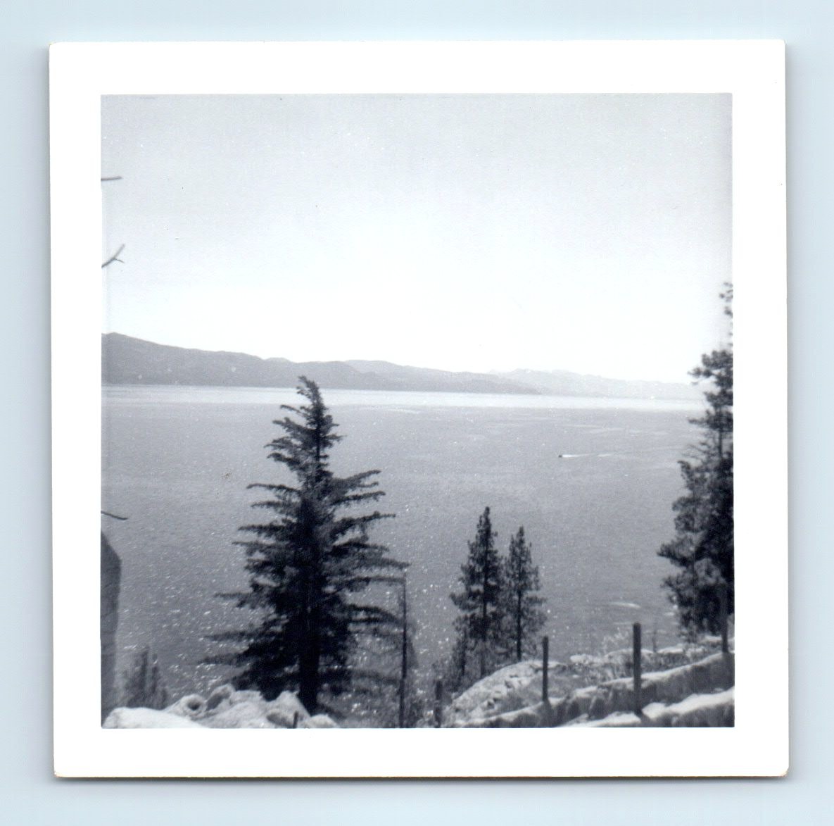 Old Vintage Square Photo LAKE LANDSCAPE FOREST TREES SNAPSHOT PICTURE PHOTOGRAPH