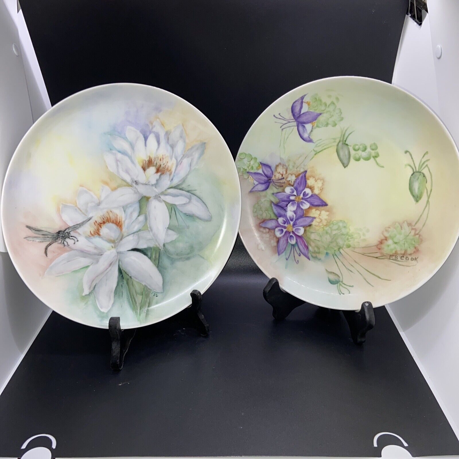 Vintage Hand Painted Water Lilies with Dragonfly and Purple Columbine Flowers