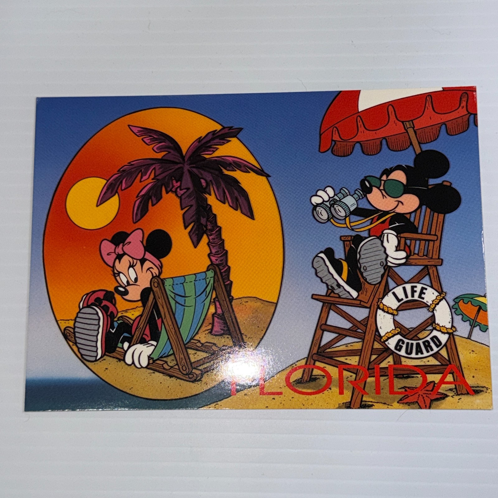 VTG Walt Disney World Postcard 