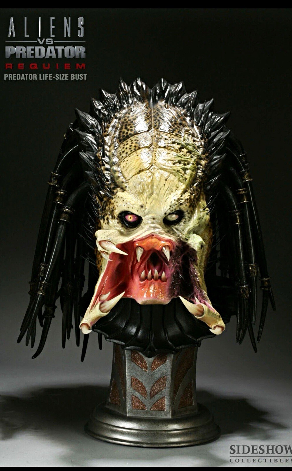 Sideshow Collectibles Wolf Predator Bust ***READ DESC*** 1:1 SCALE LIFE SIZE