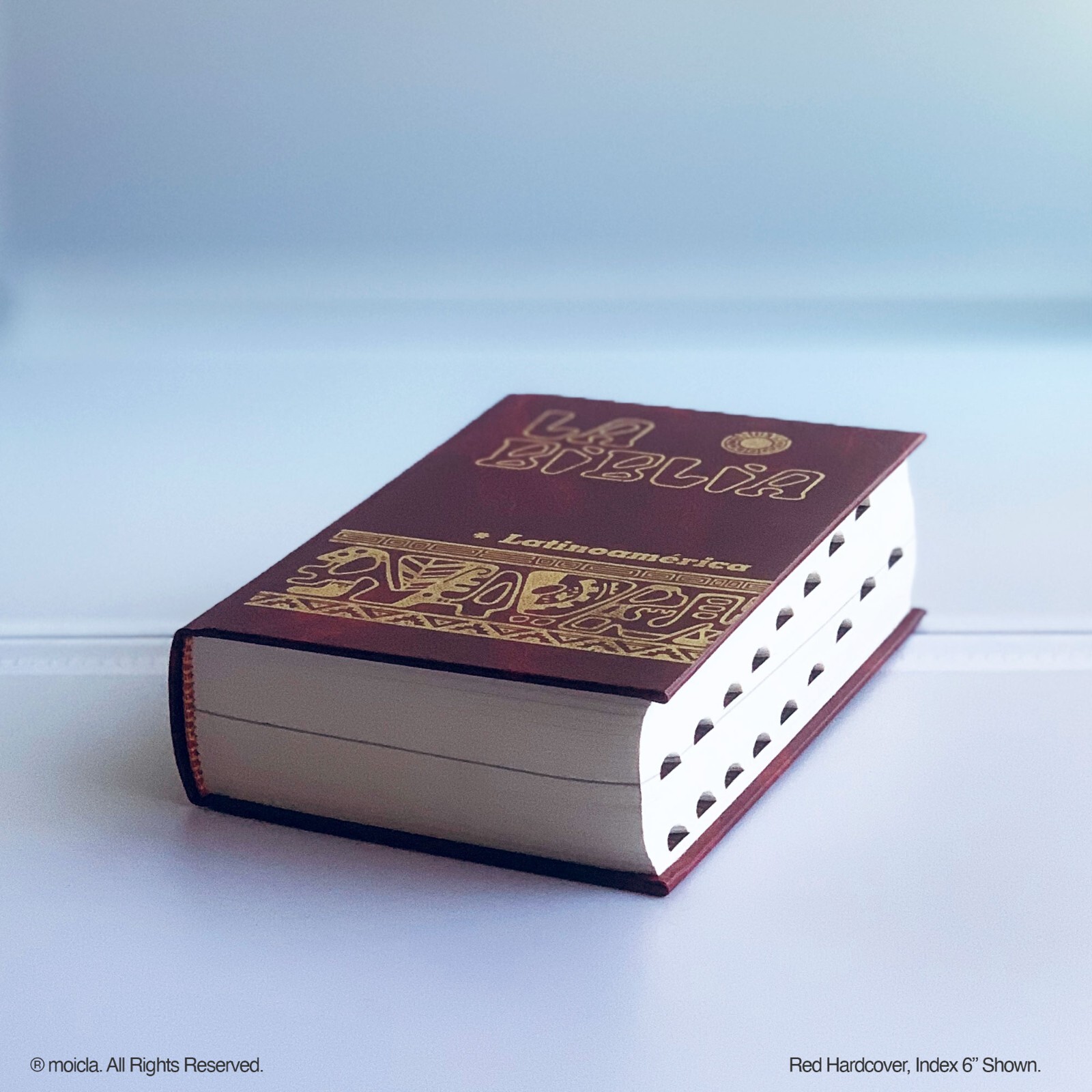La Biblia Latinoamerica - Catholic Bible, Spanish - 6