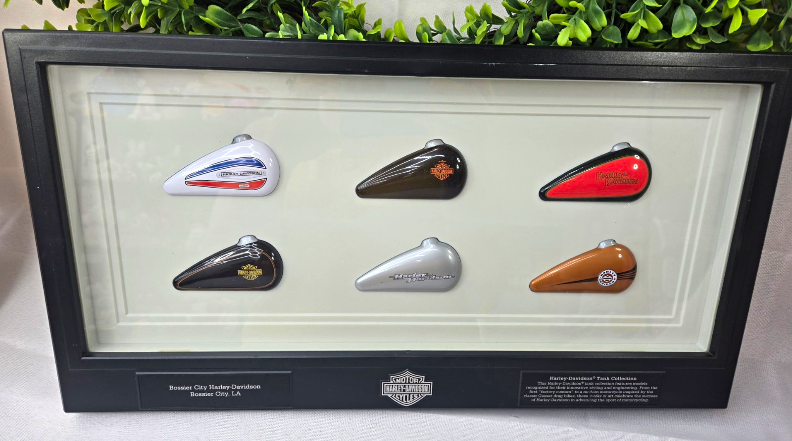 Harley-Davidson Miniature Gas Tank Collection Framed Shadow Box Bossier City LA