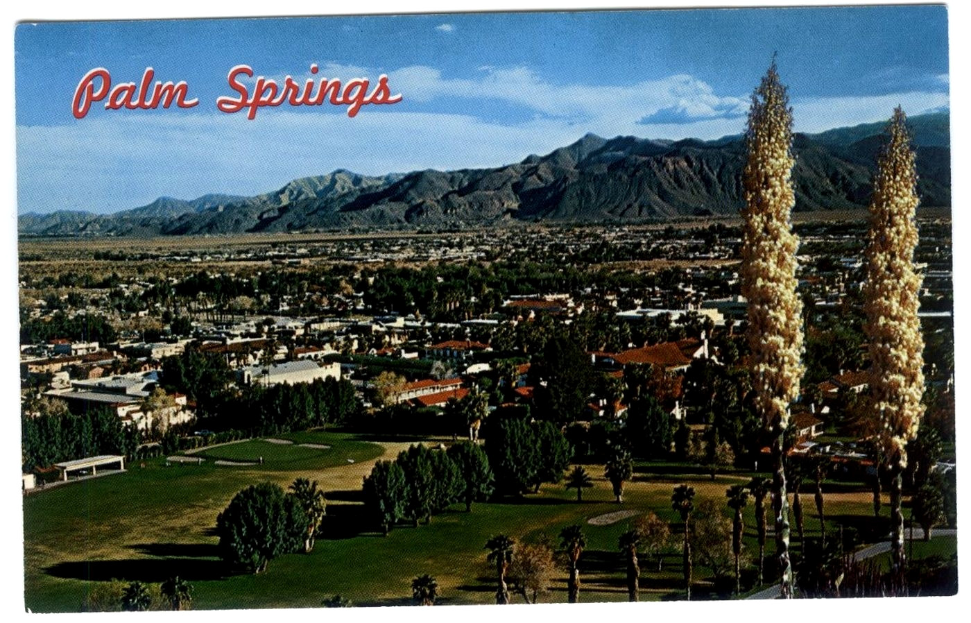 Postcard Panoramic View of Palm Springs California