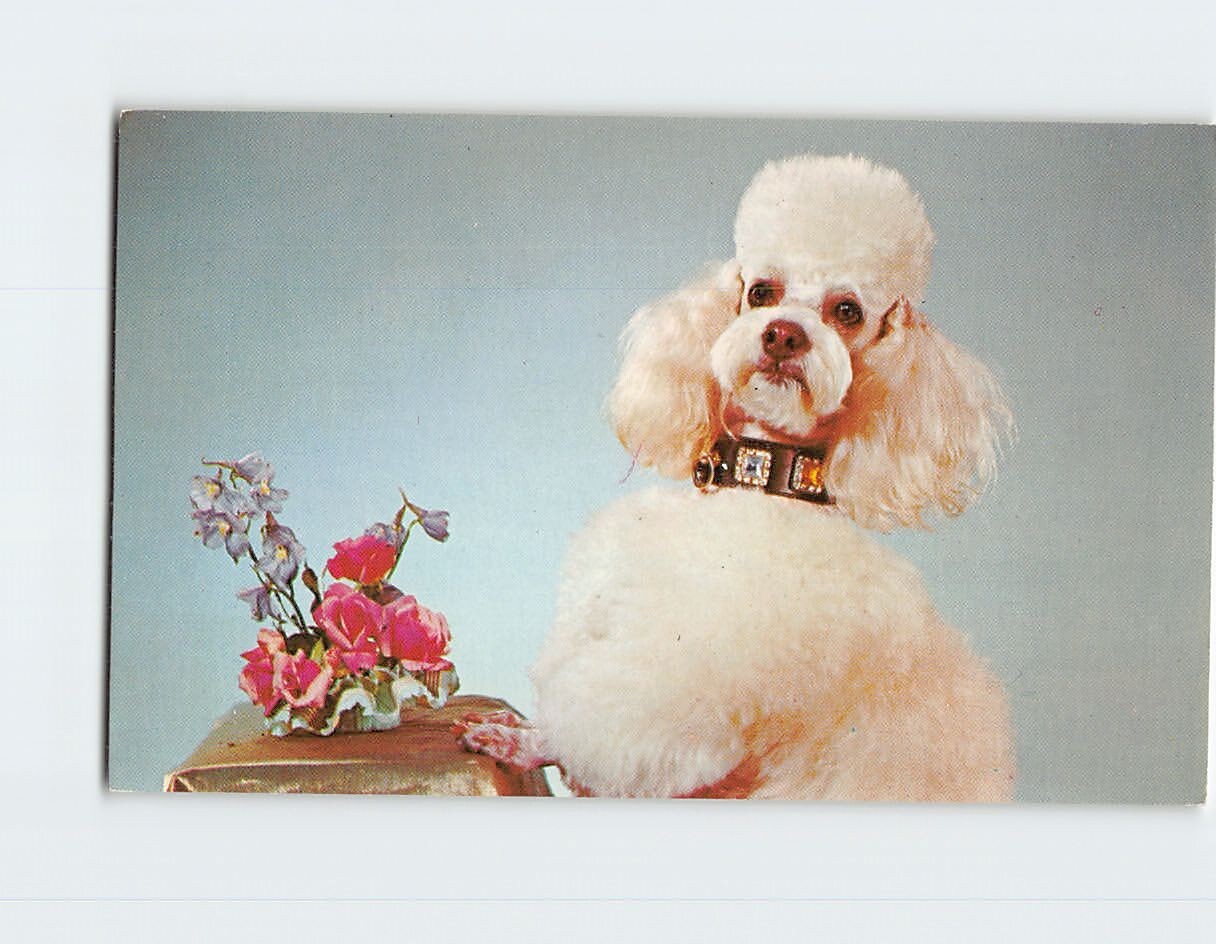 Postcard The King