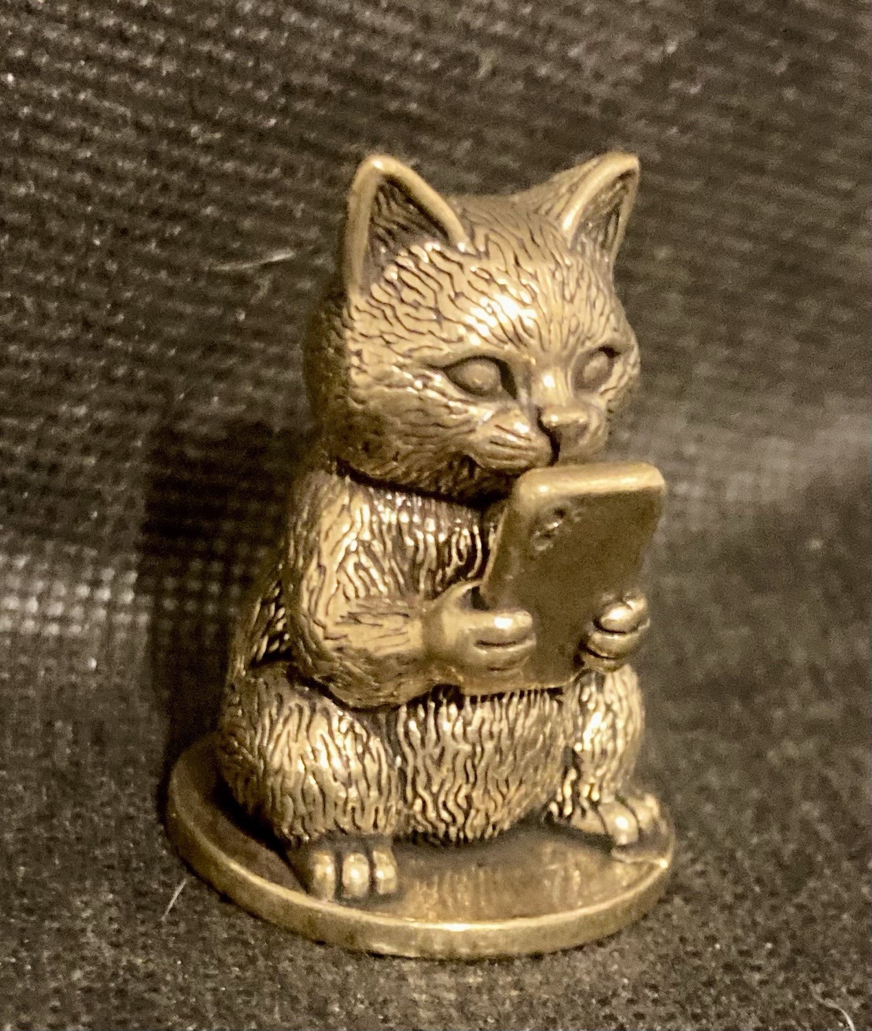 Cute Cat Using a Cellphone 1 1/2\