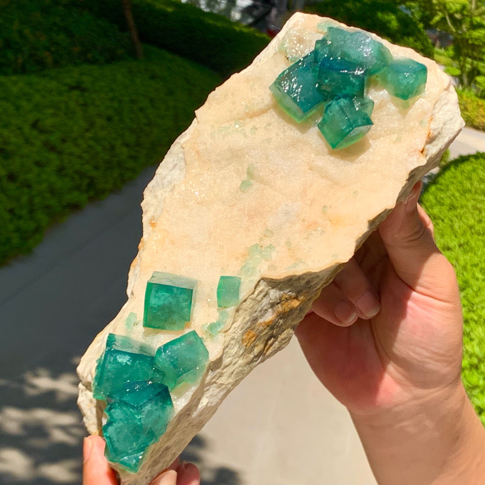 3.29LB Rare transparent GREEN cubic fluorite mineral crystal sample/China