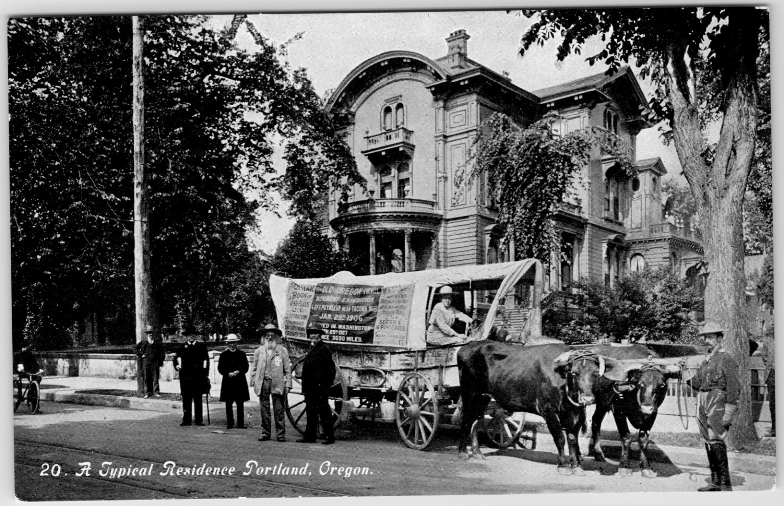 ANTIQUE PORTLAND OREGON EZRA MEEKER OXEN WAGON OREGON TRAIL POSTCARD PY