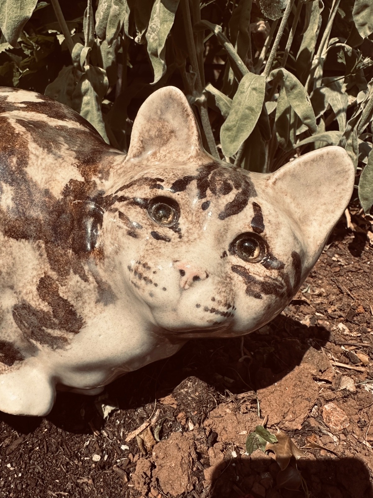 Large Vintage Winstanley Signed Tabby Cat Cathedral Eyes Size 5
