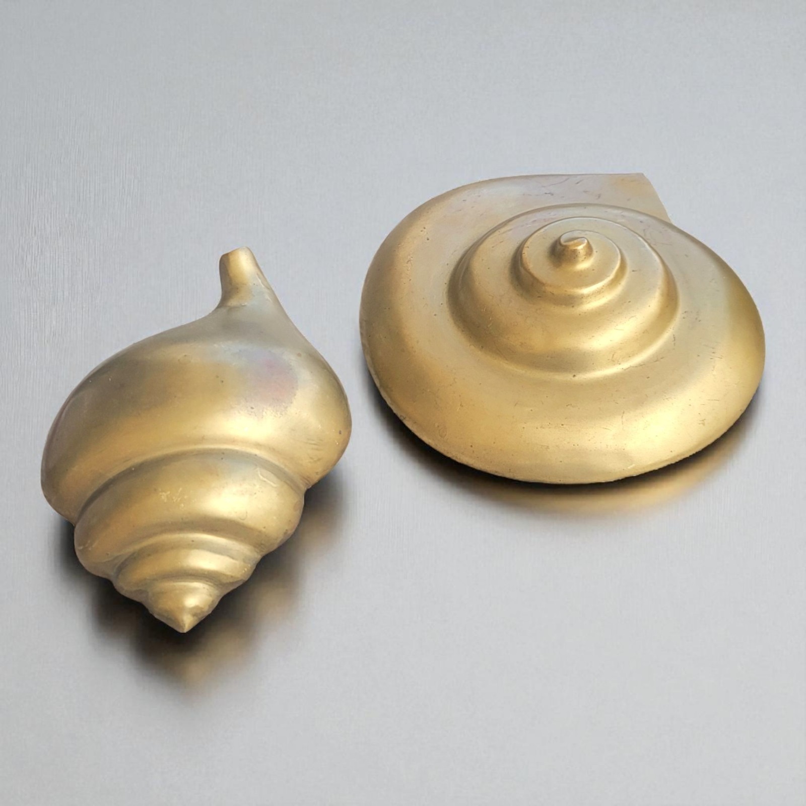 Vintage Solid Brass Shell Set 2 Wall Hanging or Table Decor Nautical