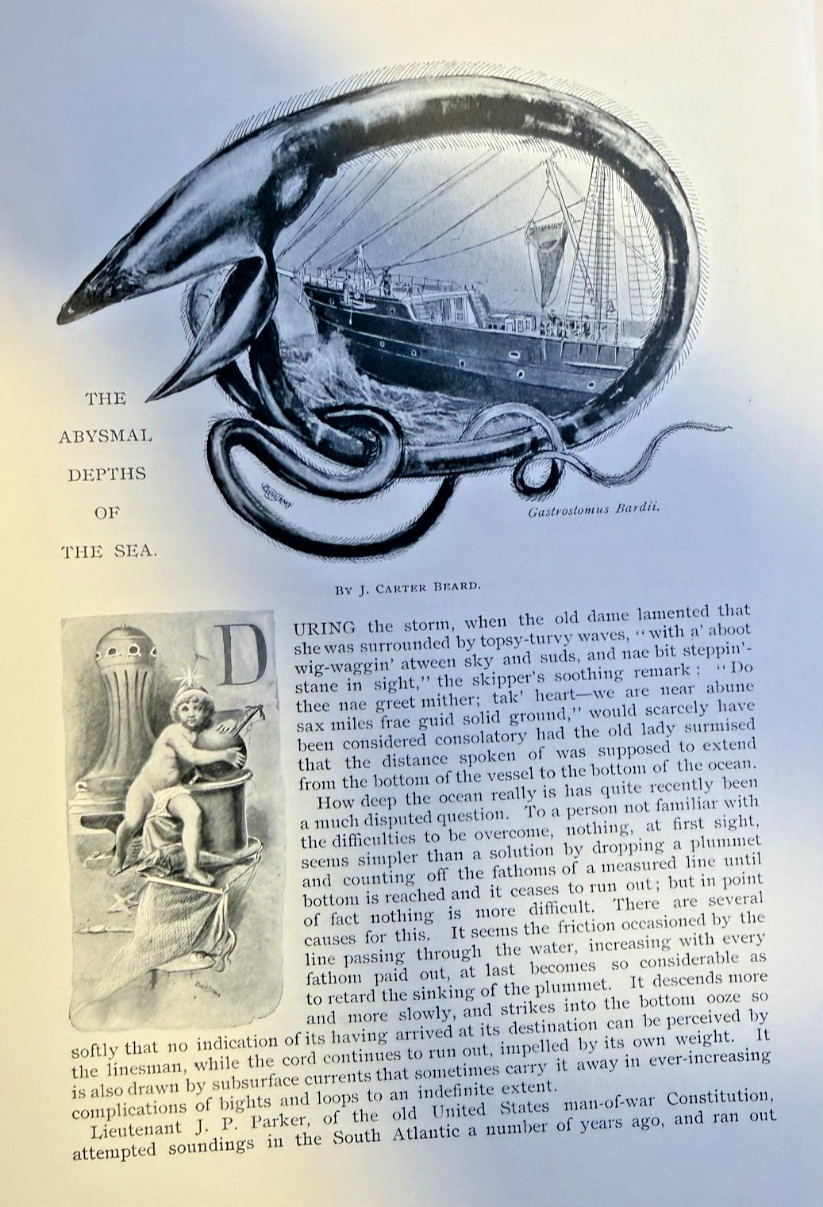 1893 Oceanography Life Under The Sea illustrated