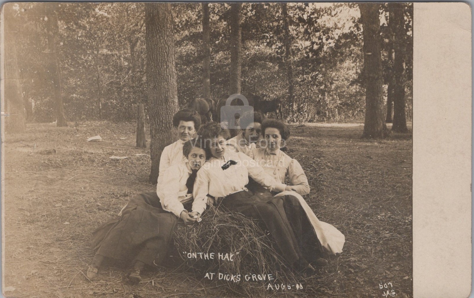 On The Hay Dicks Grove Women Group Sitting Haystack Horses RPPC 1908 Postcard