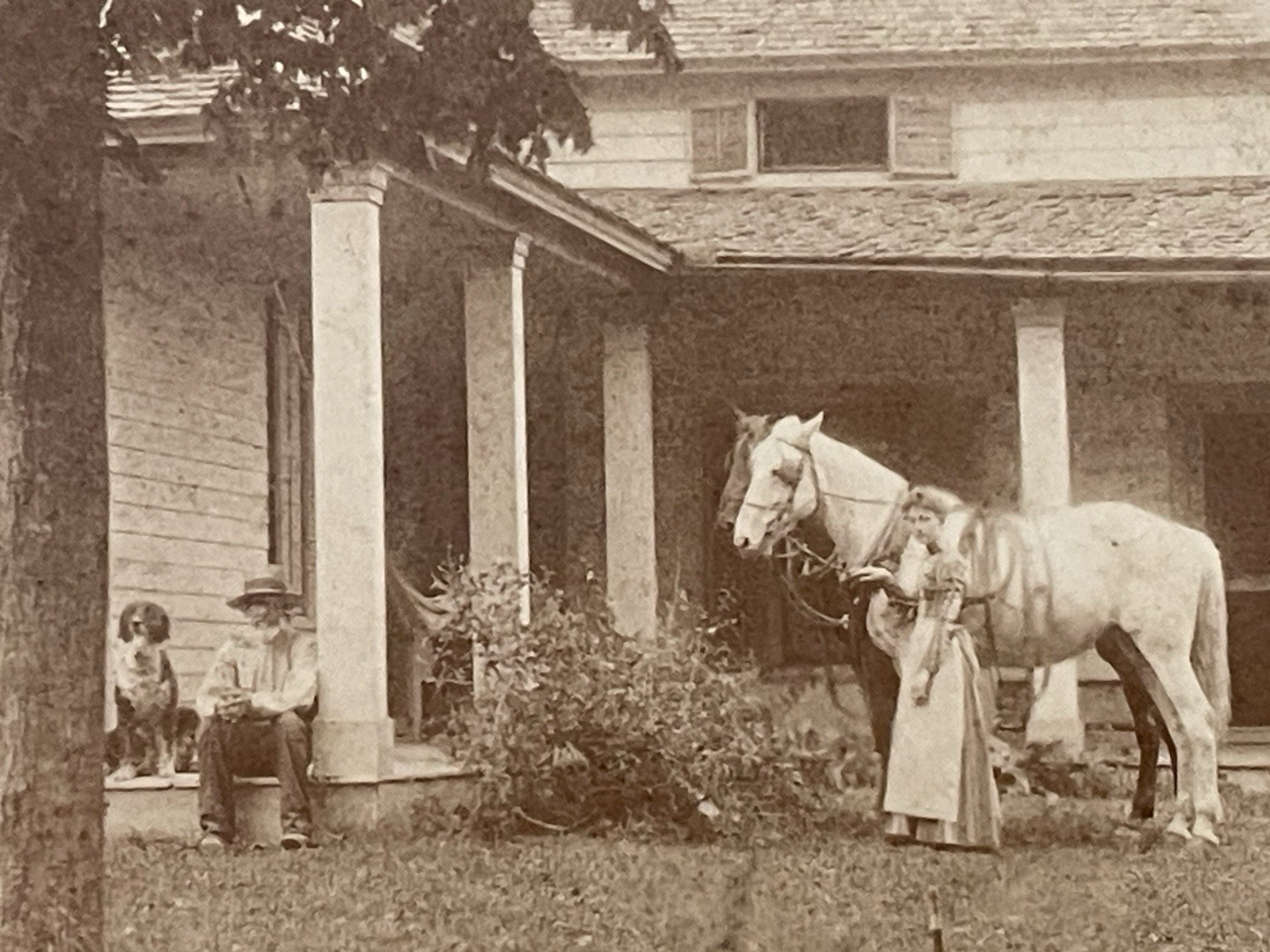 Antique c1890s Farm Family Photo Horse Dog Victorian House Rural Americana