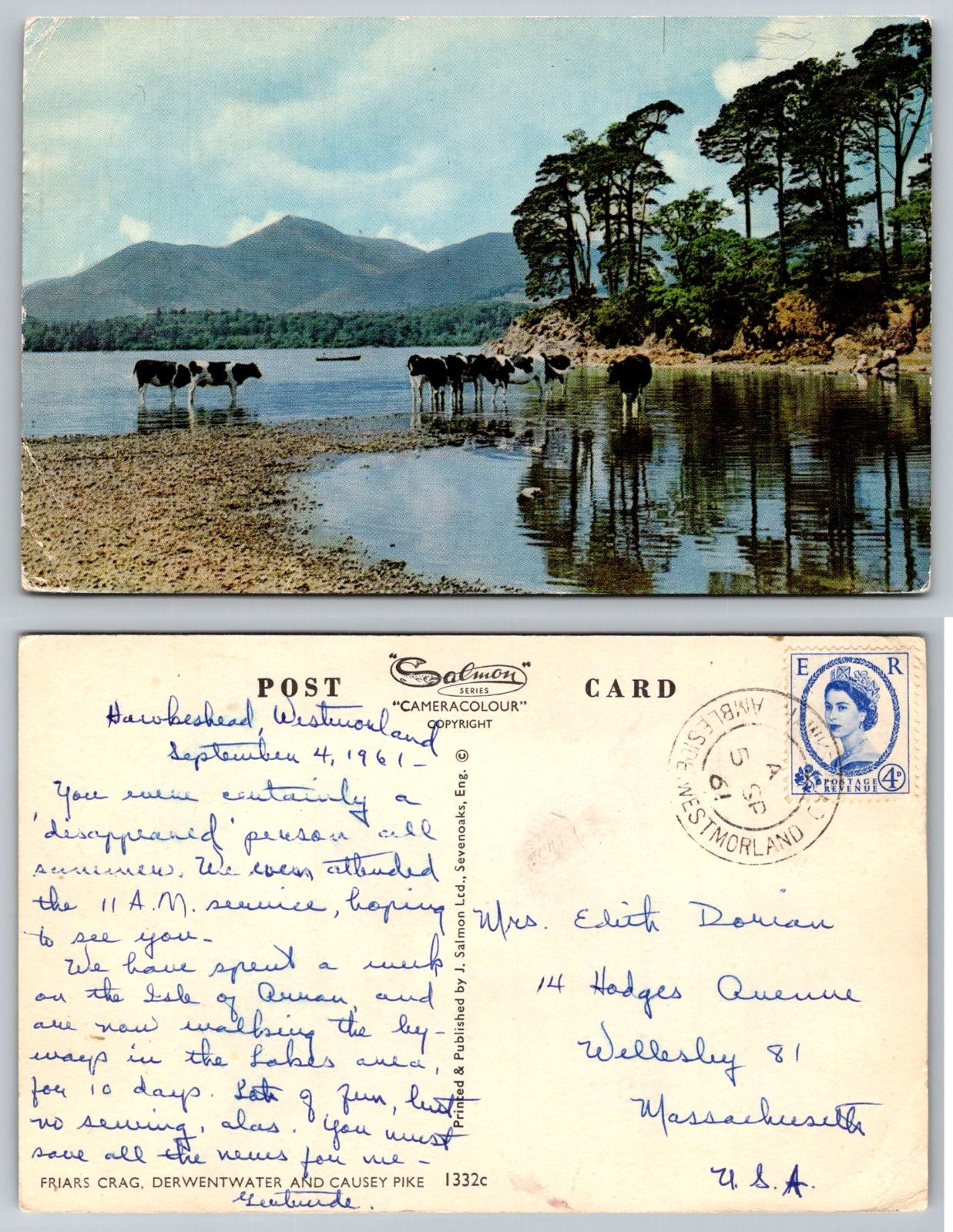 Friars Crag Derwentwater Causey Pike Lake District England Cows Postcard