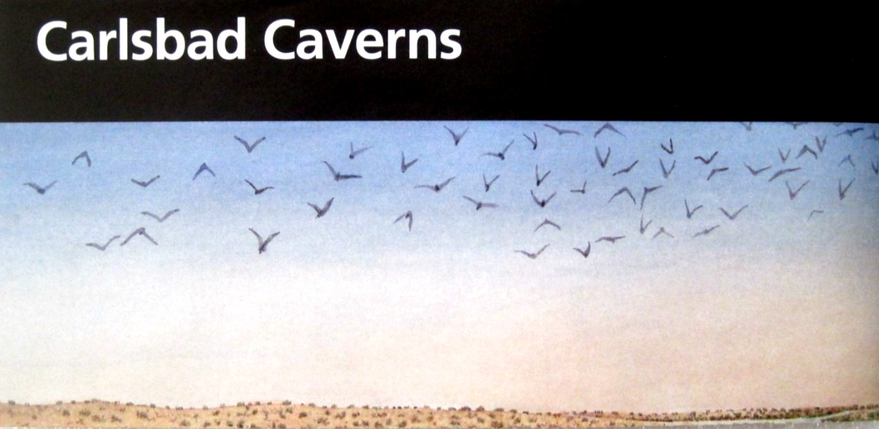Carlsbad Caverns National Park National Park Service New Mexico Unigrid Brochure Carlsbad Caverns National Park National Park Service New Mexico Unigrid Brochure