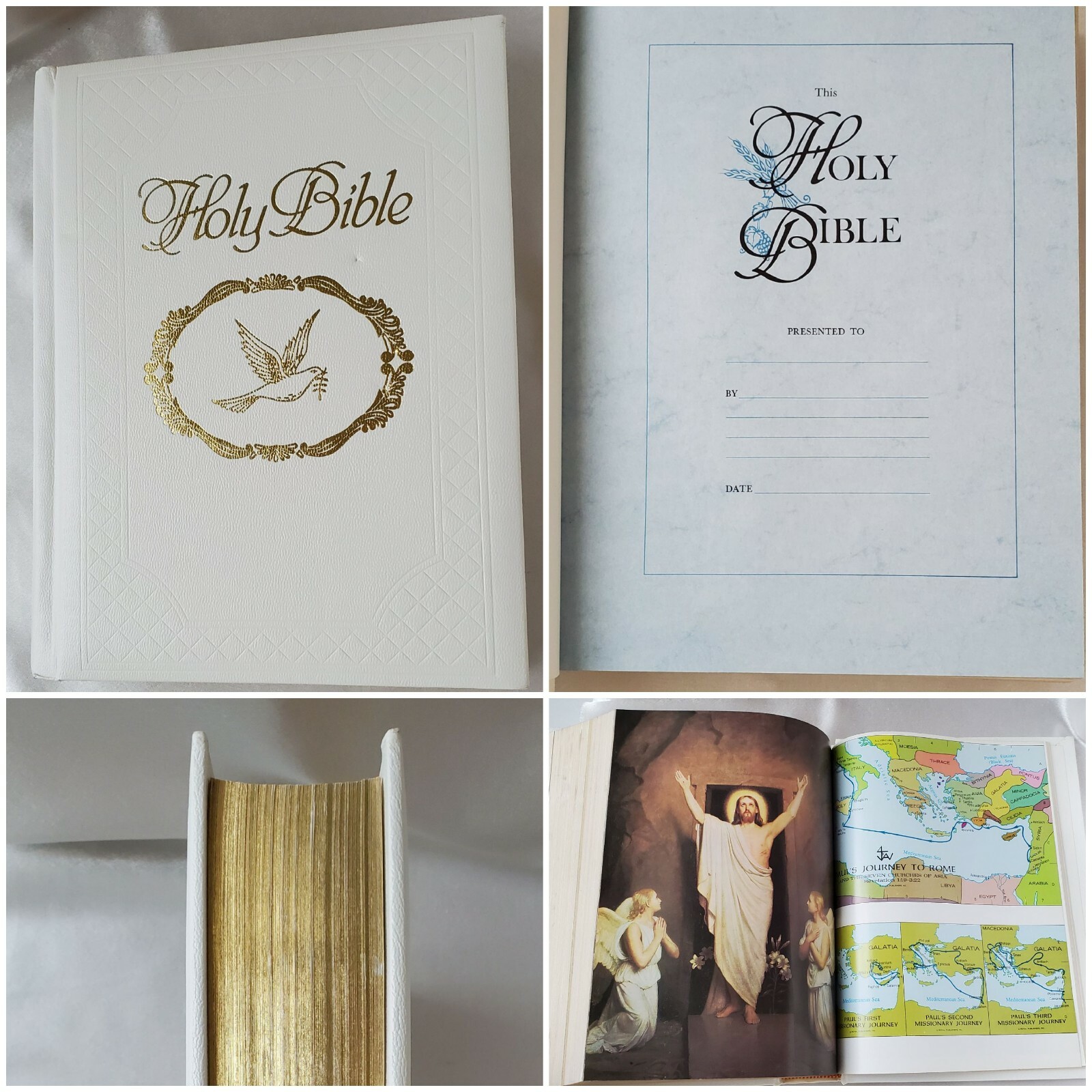 Holy Bible Illustrated King James Nelson Publisher Gilded Edges Vintage 1971