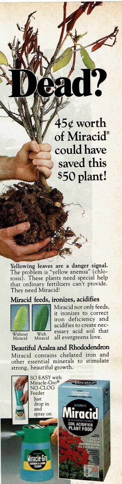 1989 Vintage Print Ad Dead? Miracid could have saved this $50 plant Miracle-Gro