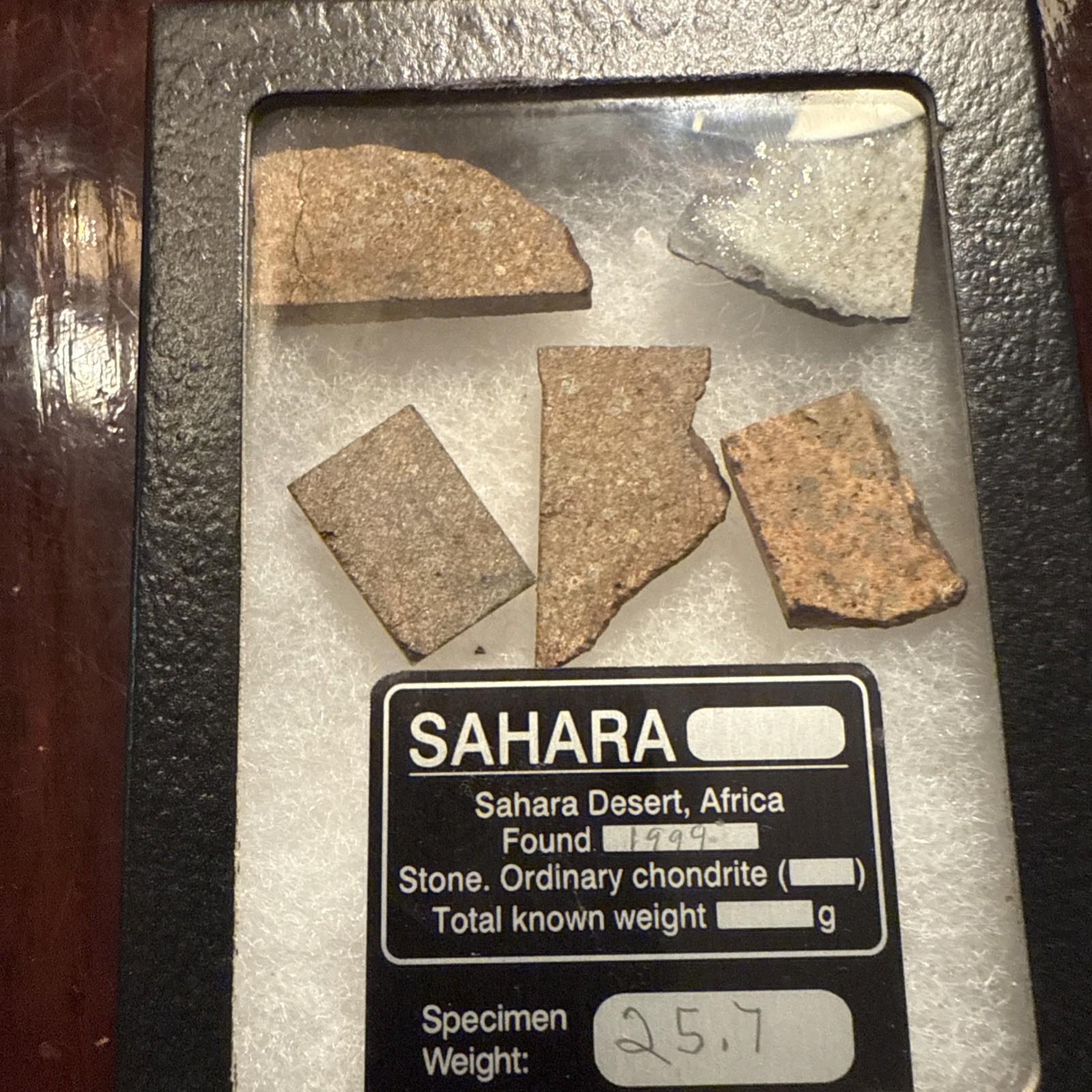 25.7 g Chondrite Meteorite Slices, Africa (5 Slices great for resale) 25.7 g Chondrite Meteorite Slices, Africa (5 Slices great for resale)