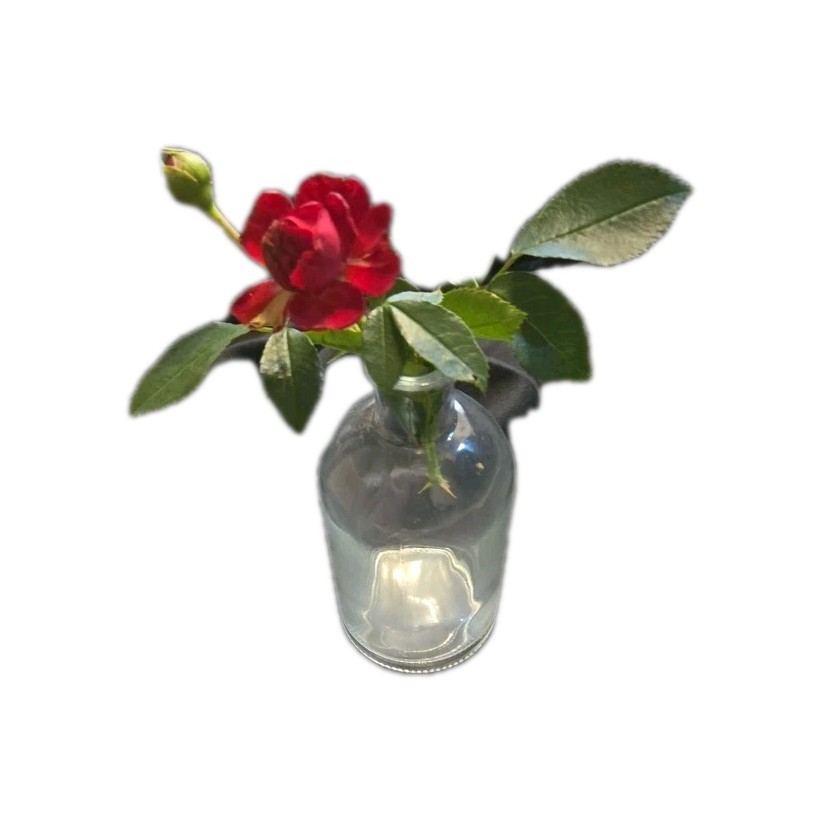  Bud Vase Clear Glass Narrow Neck Bin 12