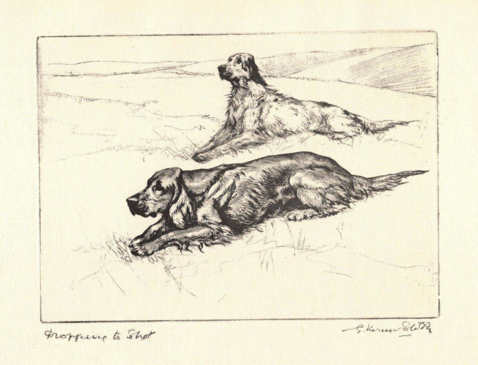 Antique English & Irish Setter Print Vernon Stokes Hunting Dog Art Print 4906f