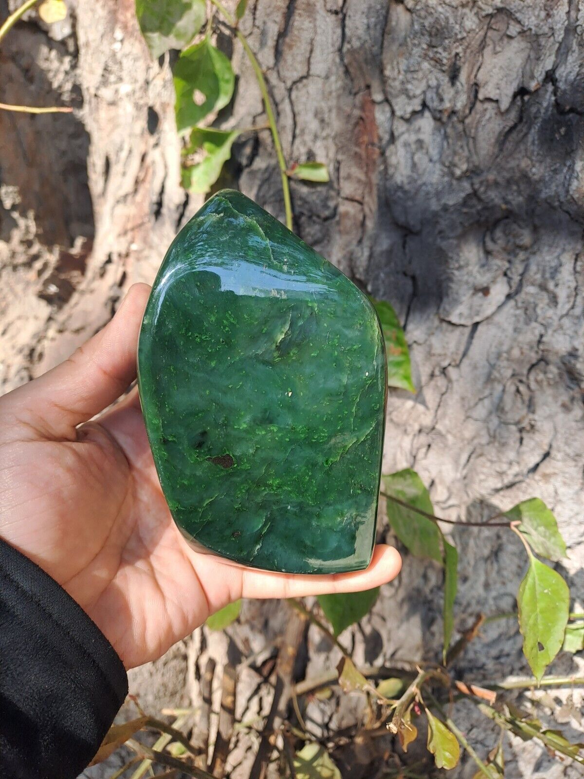 972 Gr. Green Nephrite Jade, Nephrite Jade Polished Freeform from Afghanistan