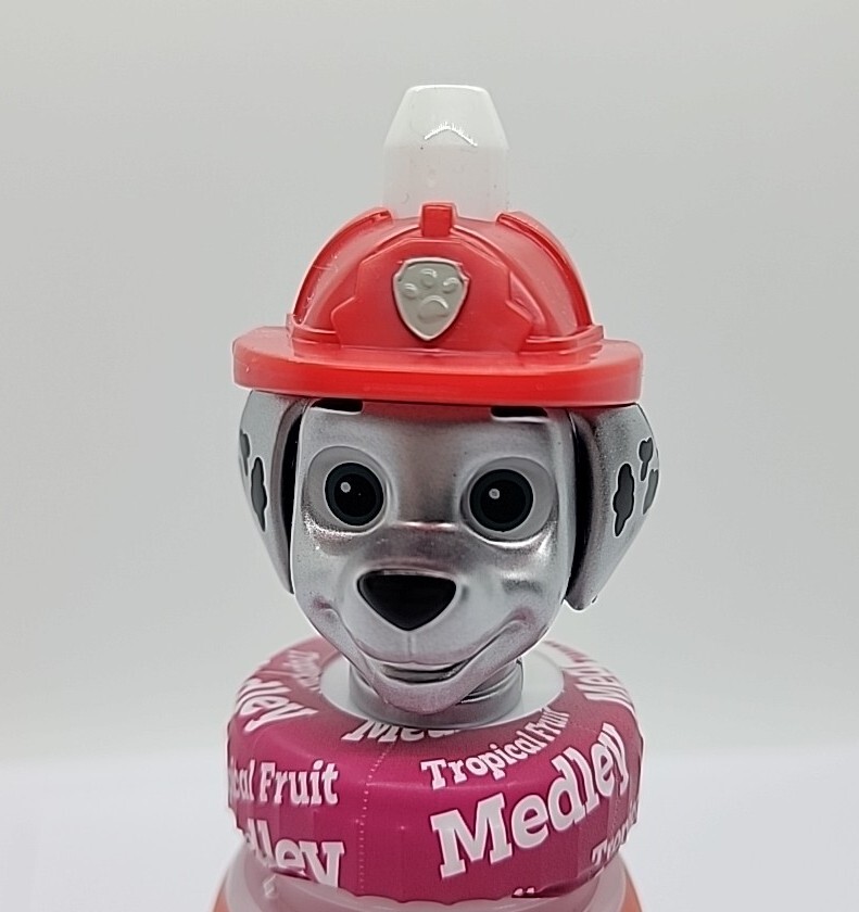 MARSHALL SILVER GOOD 2 GROW RARE NEW UNUSED SILVER PAW PATROL RARE MARSHALL