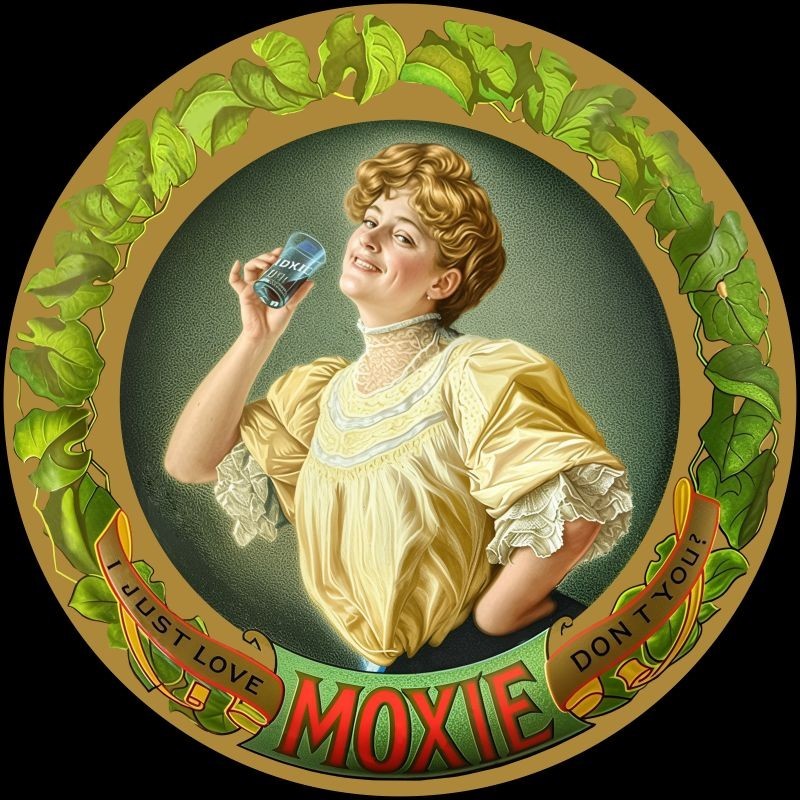 I Just Love MOXIE Cola, Don\'t You? NEW METAL SIGN: 12\