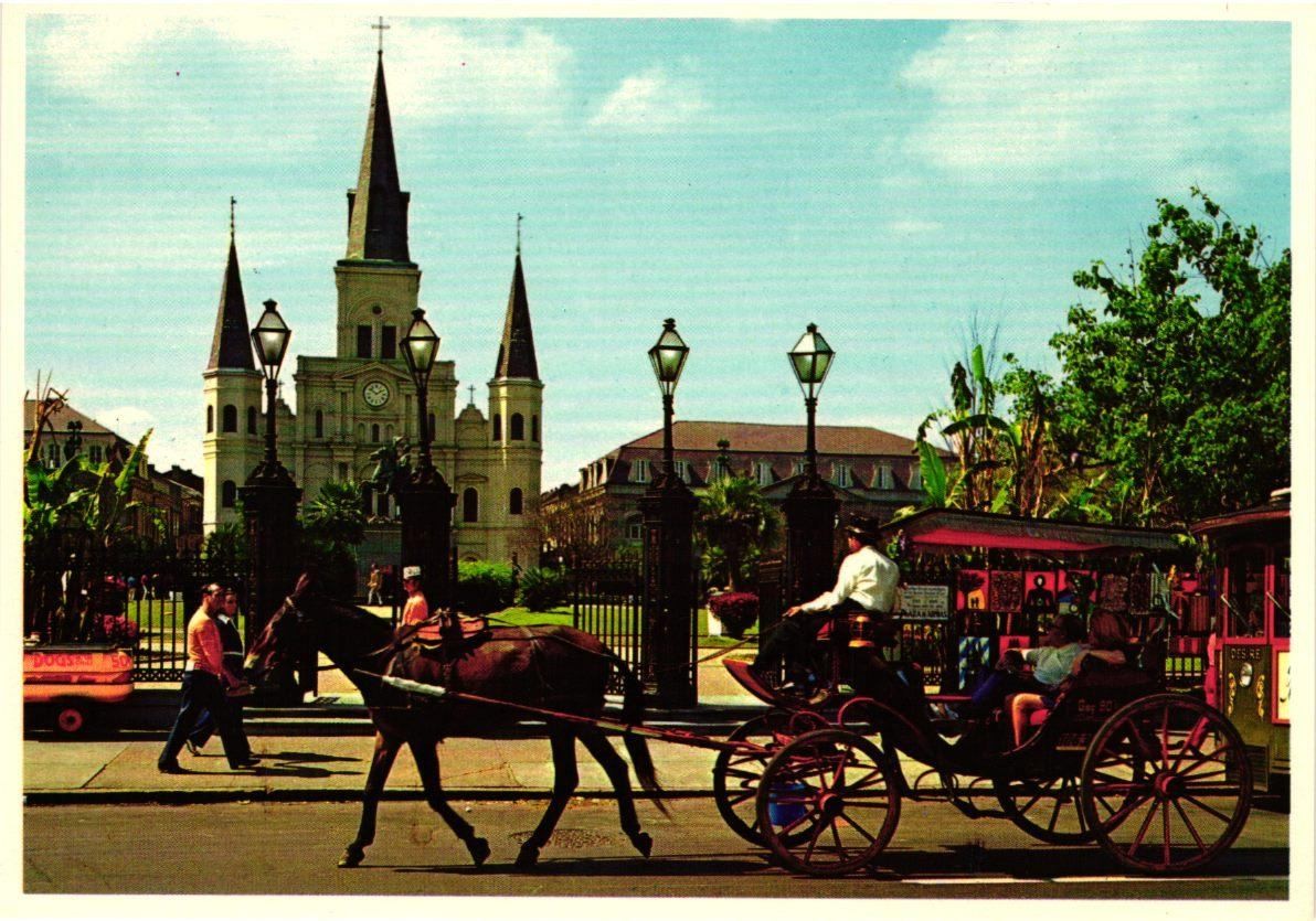 Jackson Square New Orleans LA Postcard French Quarter St. Louis Cathedral Horse