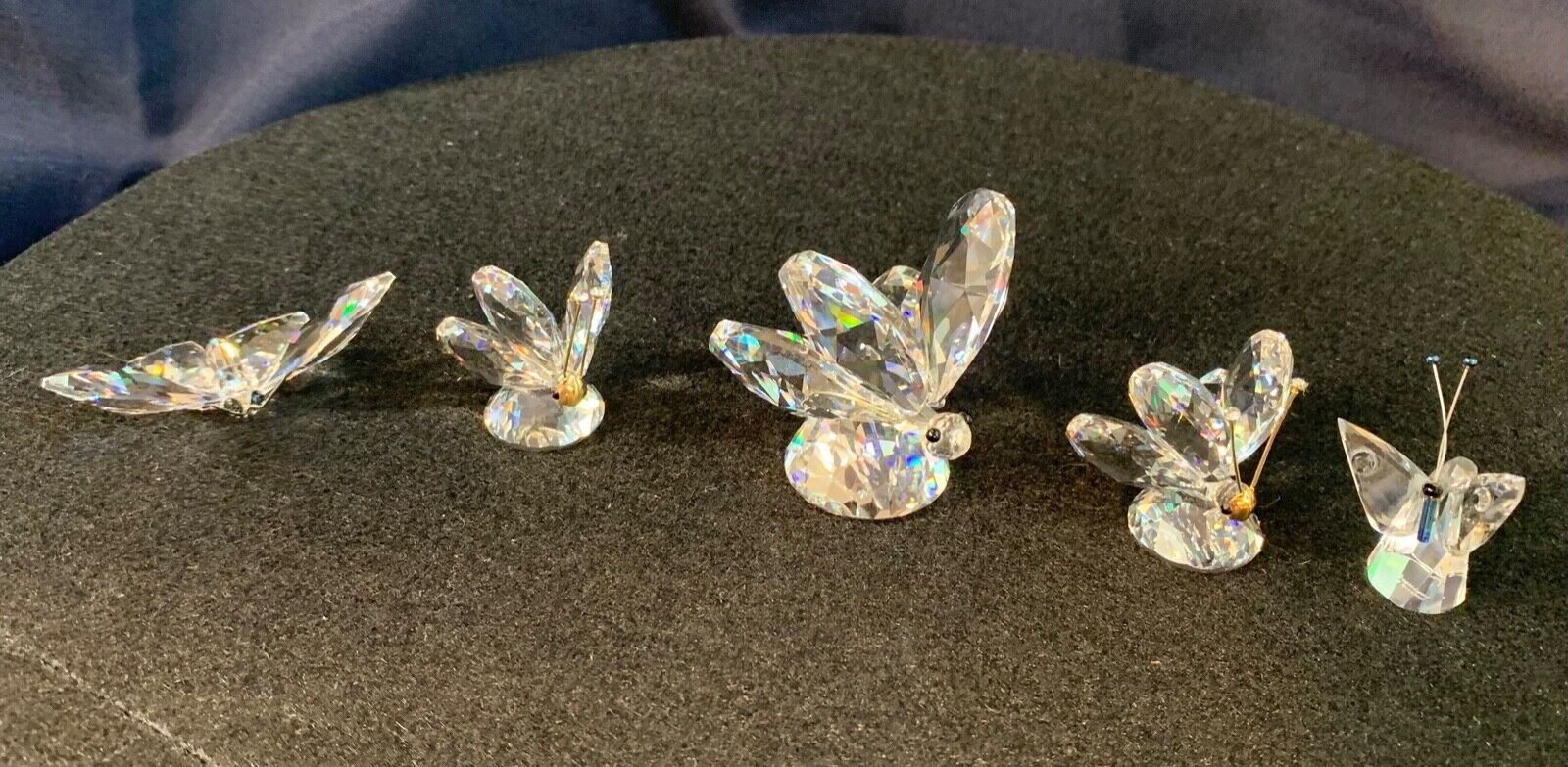 Lot of 5 Crystal Butterfly Figurines, most if not all are Swarovski.