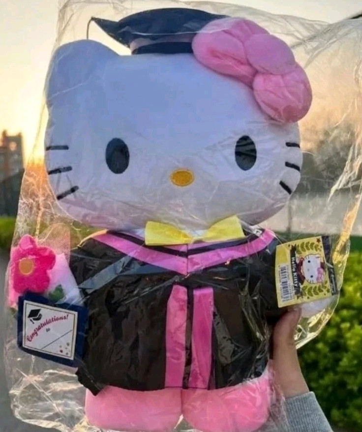 Hello Kitty Graduate Plush Graduation Cap Gown Tassel Flowers Gift Tag Brand New