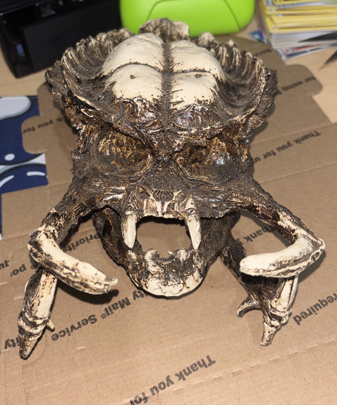 Predator Skull