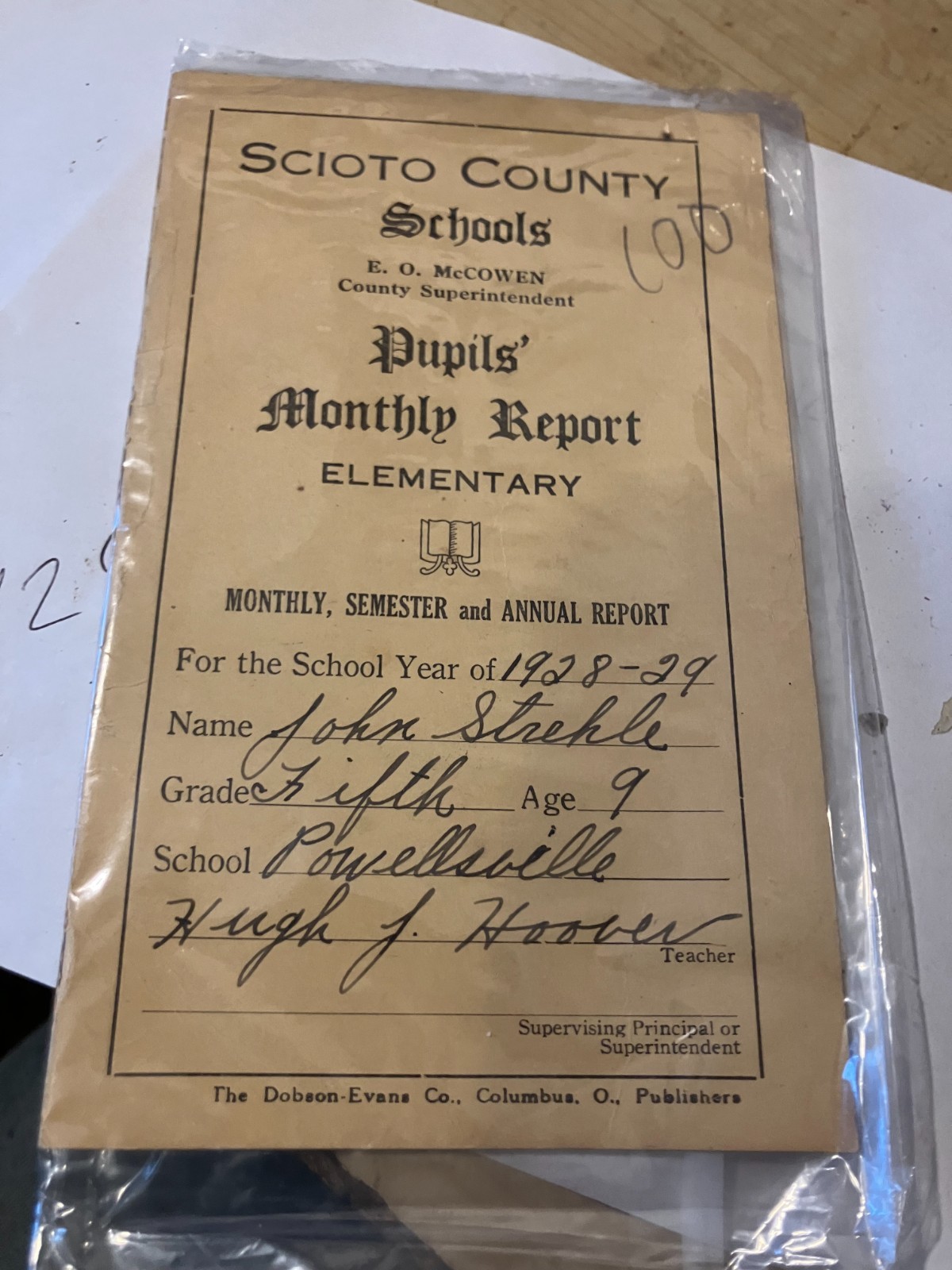 VINTAGE 1928/29 SCIOTO COUNTY POWELLSVILLE,OHIO REPORT CARD