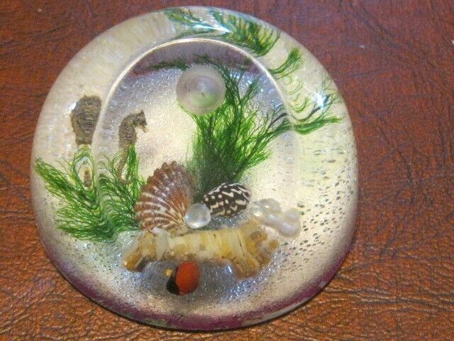 Vintage Acrylic Lucite Paperweight Seahorse Shells Ocean Beach holds pen/pencil