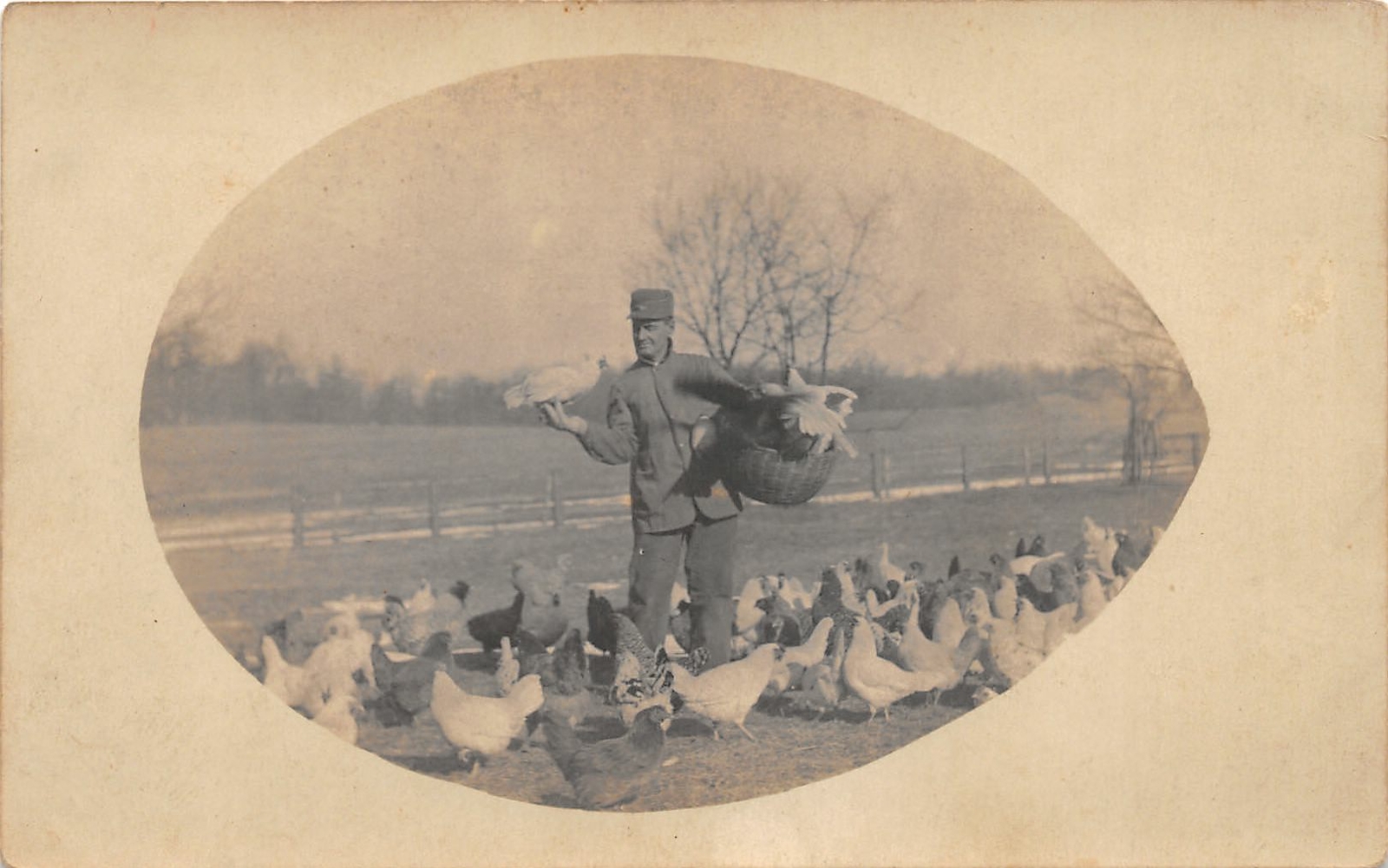 G68/ Occupational RPPC Postcard c1910 Chicken Farmer Egg Basket 4