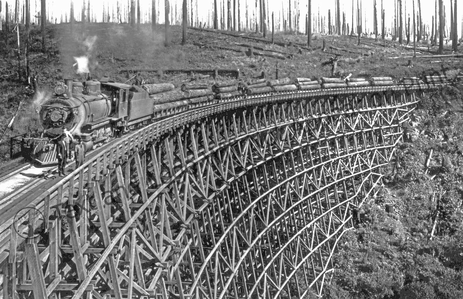 1918 Logging Railroad Trestle, Washington Old Photo 11\