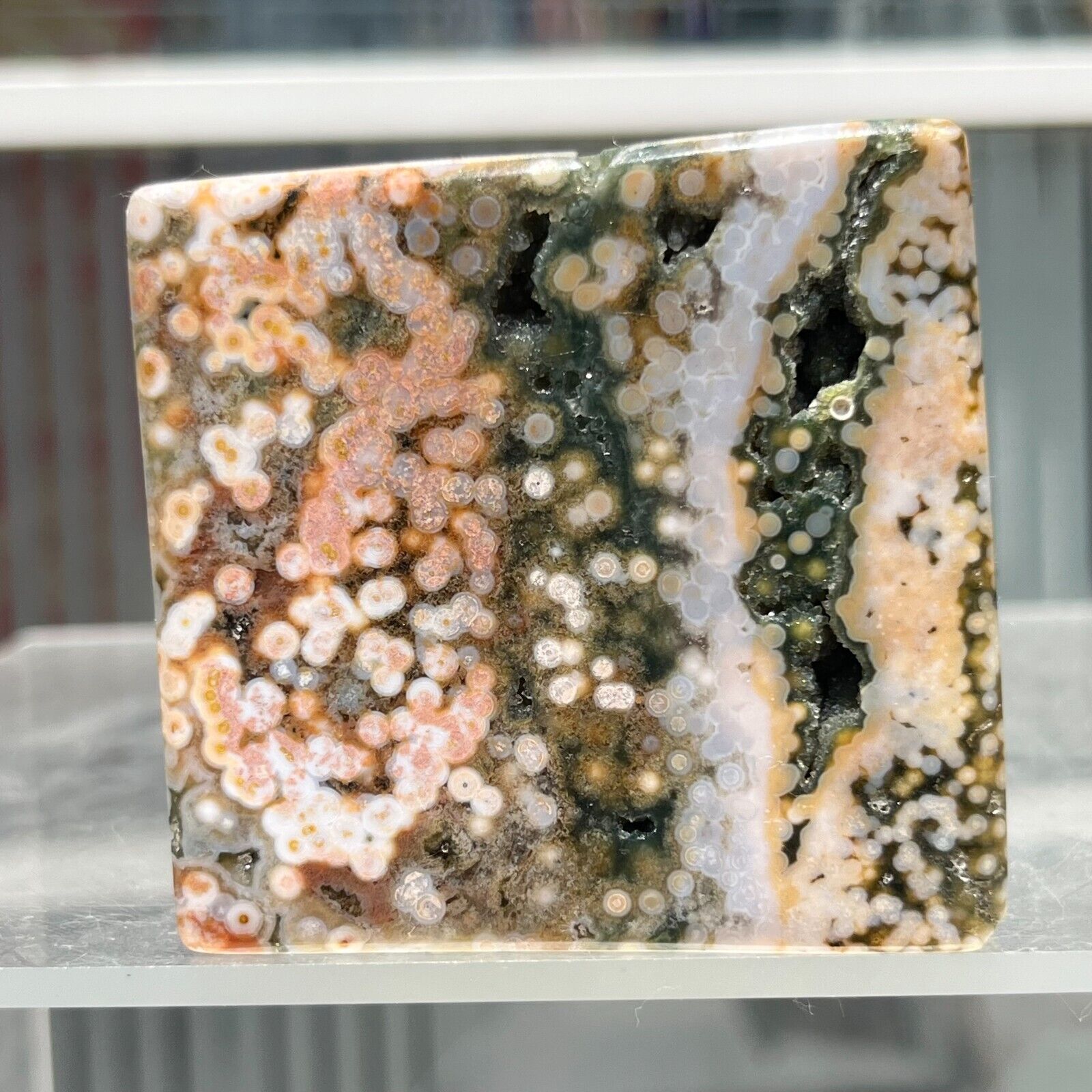 558g Natural Colourful Ocean Jasper Crystal Freeform Display Specimen Healing
