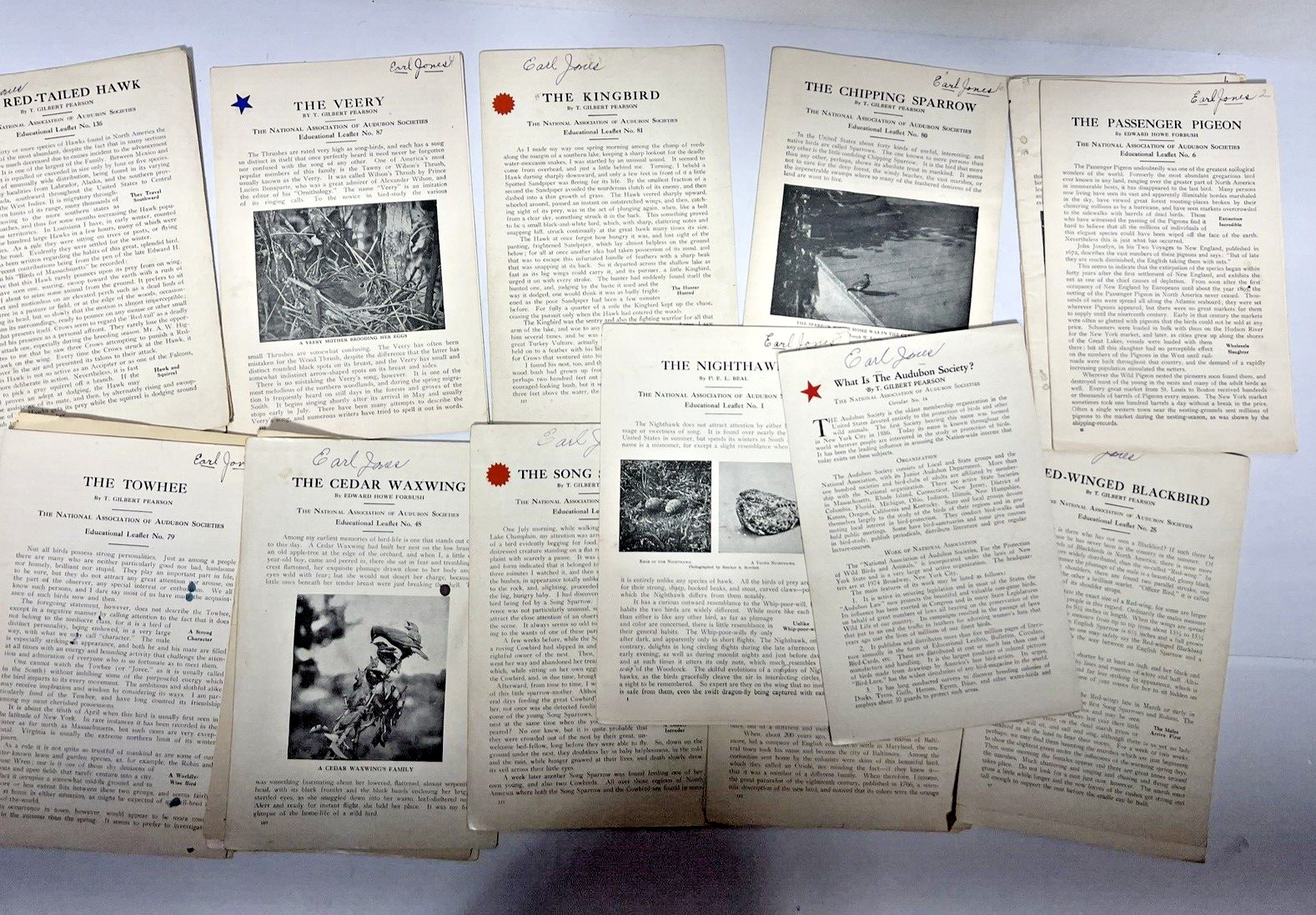 Antique 1920\'s & 30\'s  12 Audubon Educational Leaflets,  Birds with art Prints