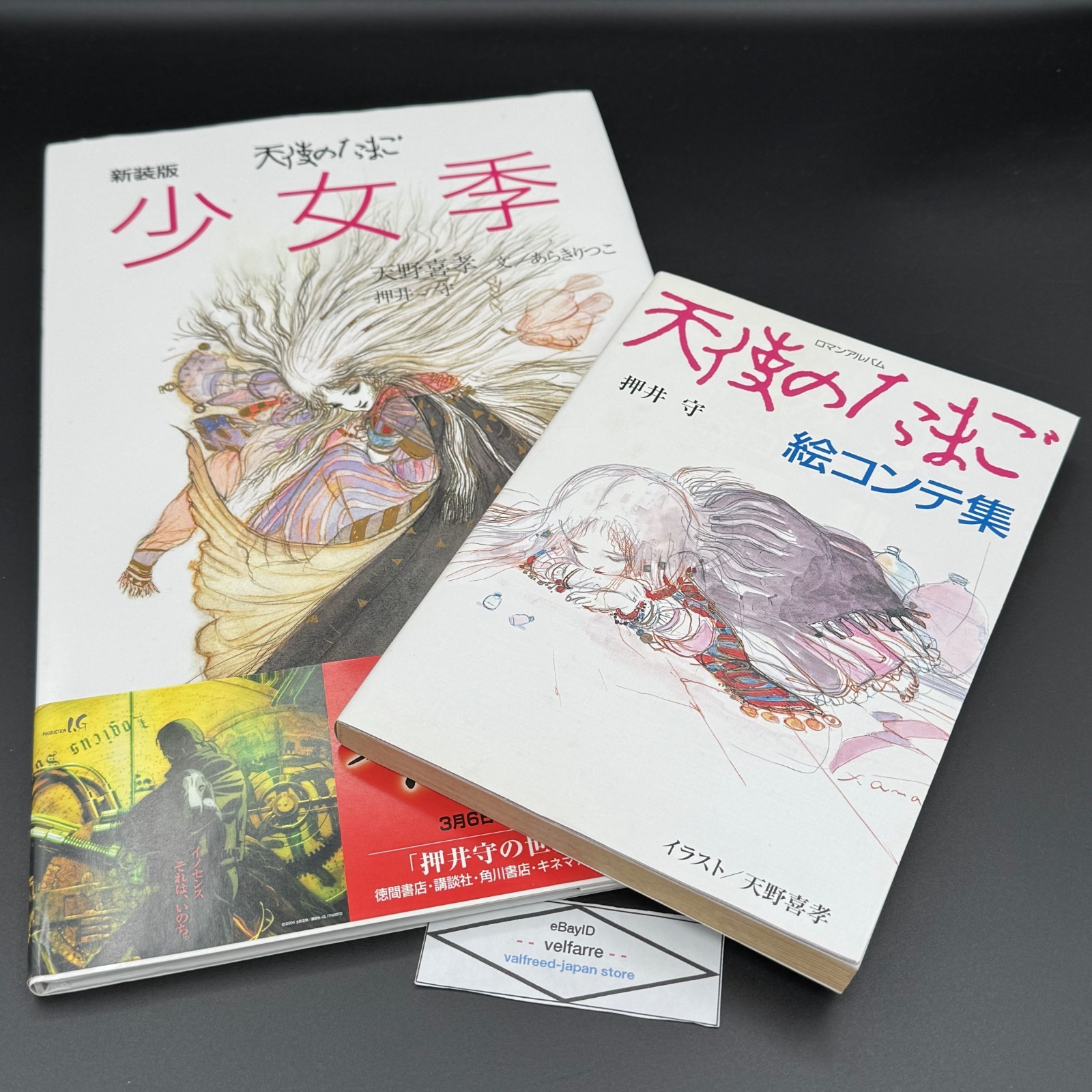 Angel\'s Egg Storyboard Collection & Shojoki 2004 Issues Set of 2 Art Works USED
