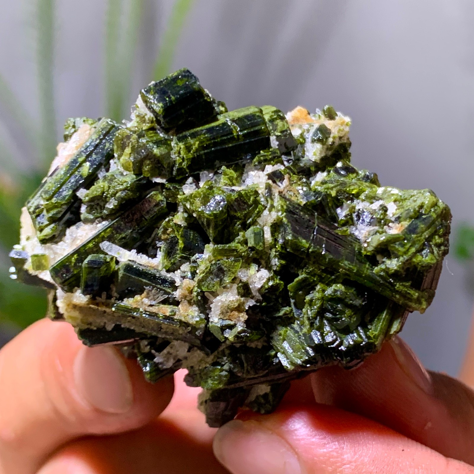 76G Natural green tourmaline quartz crystal cluster mineral specimen