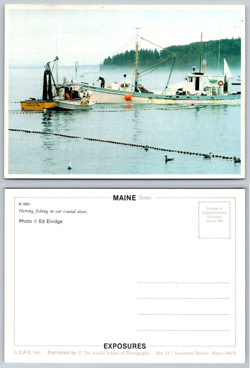 Maine Herring Fishing Boats Southwest Harbor Postcard Ed Elvidge Photo Maine Herring Fishing Boats Southwest Harbor Postcard Ed Elvidge Photo