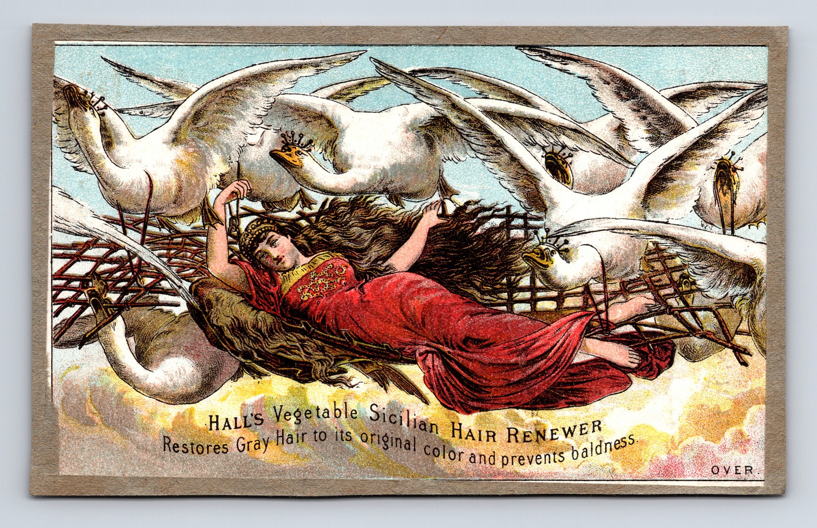 Hall\'s Vegetable Sicilian Hair Renewer Lady White Geese Victorian Trade Card