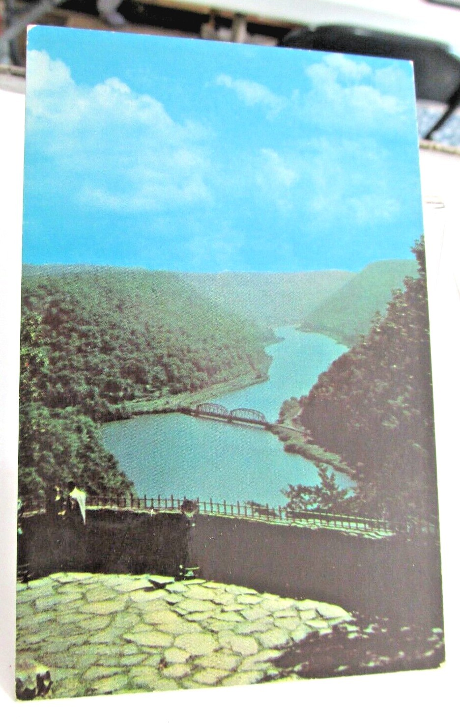 Vtg CHARLESTON WEST VIRGINIA WV Postcard New River Canyon Hawks Nest State Park