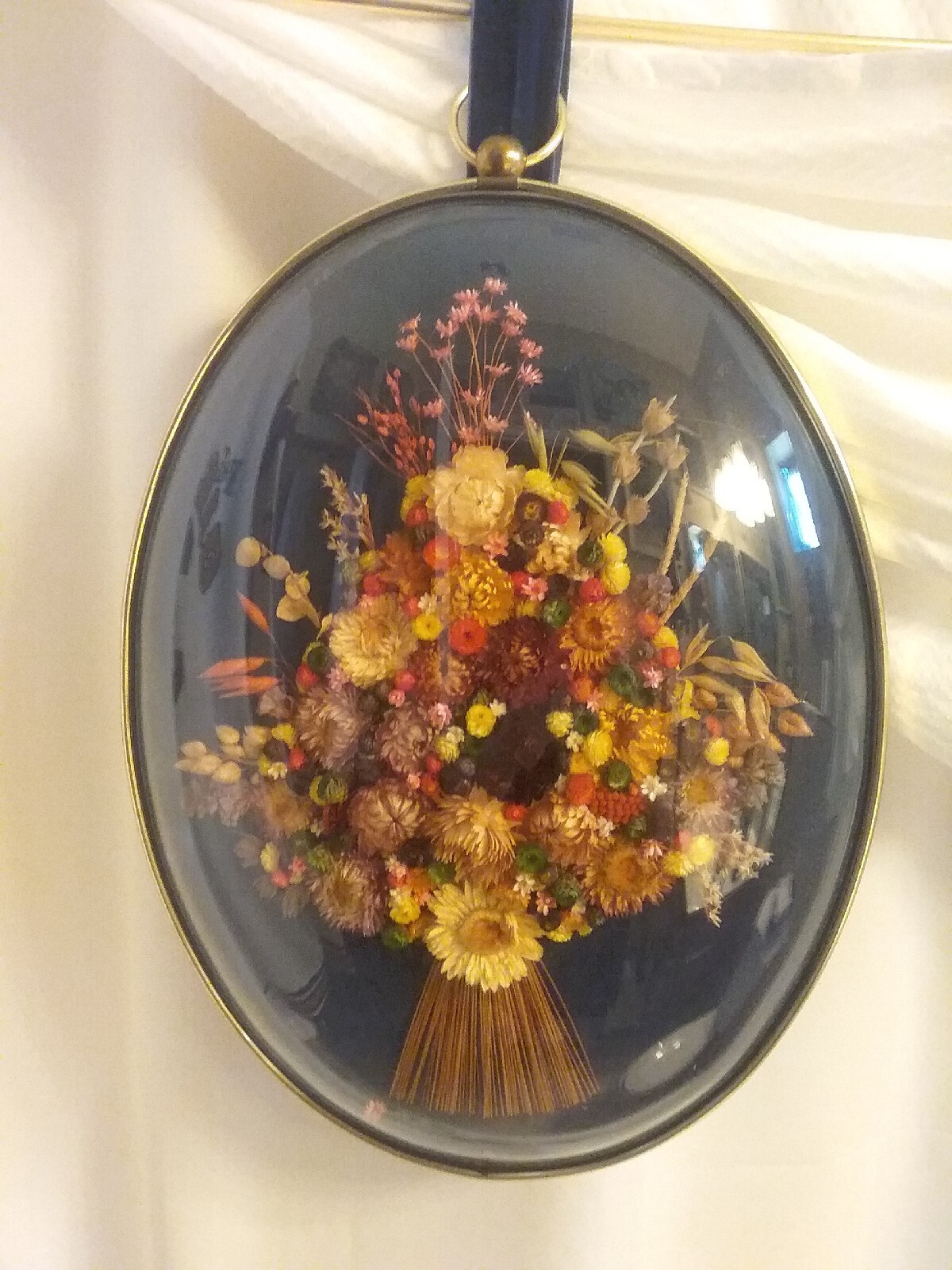 Vintage Cideart Belgium Straw Flowers Domed Frame X Large Display Decor Wall Art