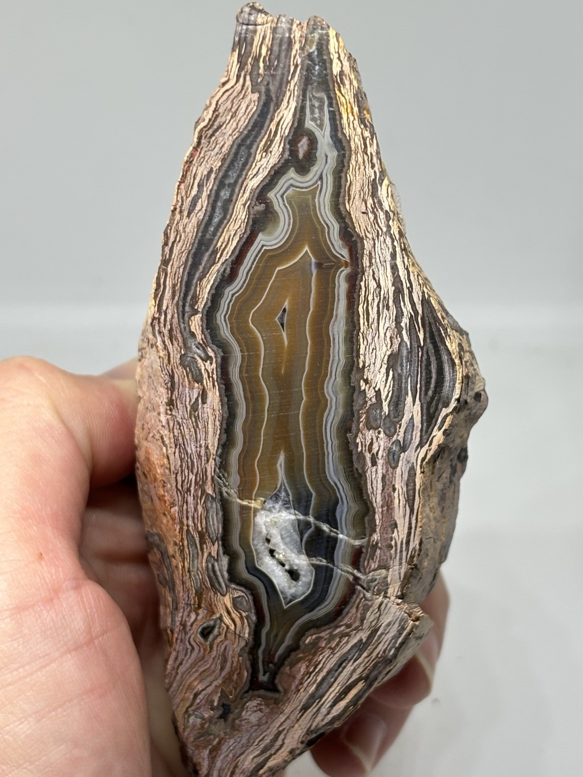 323g Petrified Wood Agate Specimen, Unpolished Natural