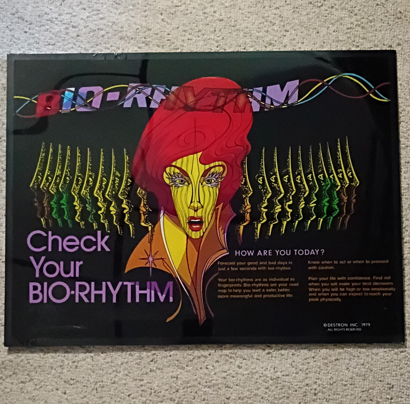 RARE 1979 Destron Check BIO-RHYTHM Vintage Coin Op Arcade Cabinet Display Sign ☢