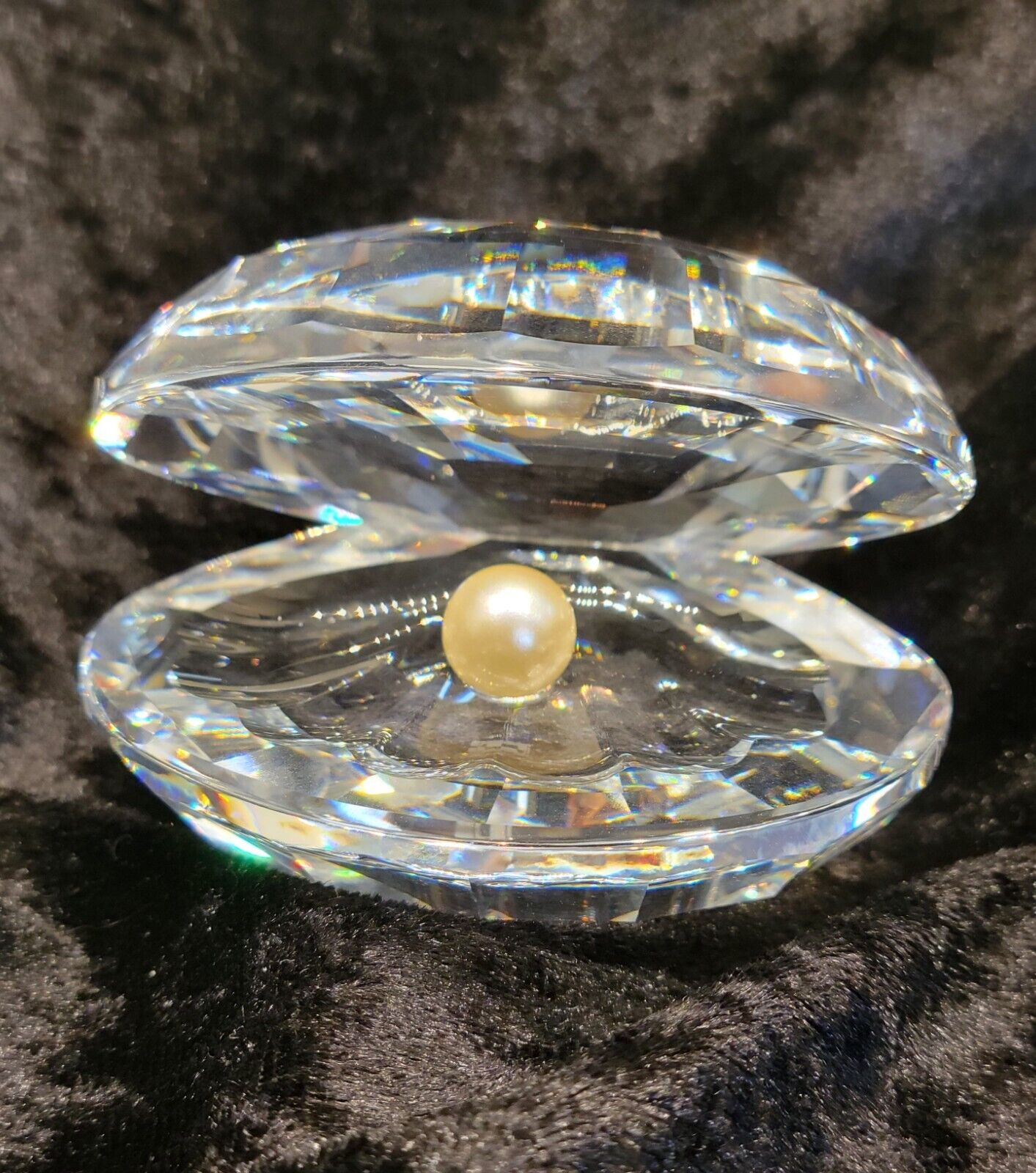 Swarovski Crystal * Oyster Clam Shell with Pearl * A 7624 NR 055 000 * 014389
