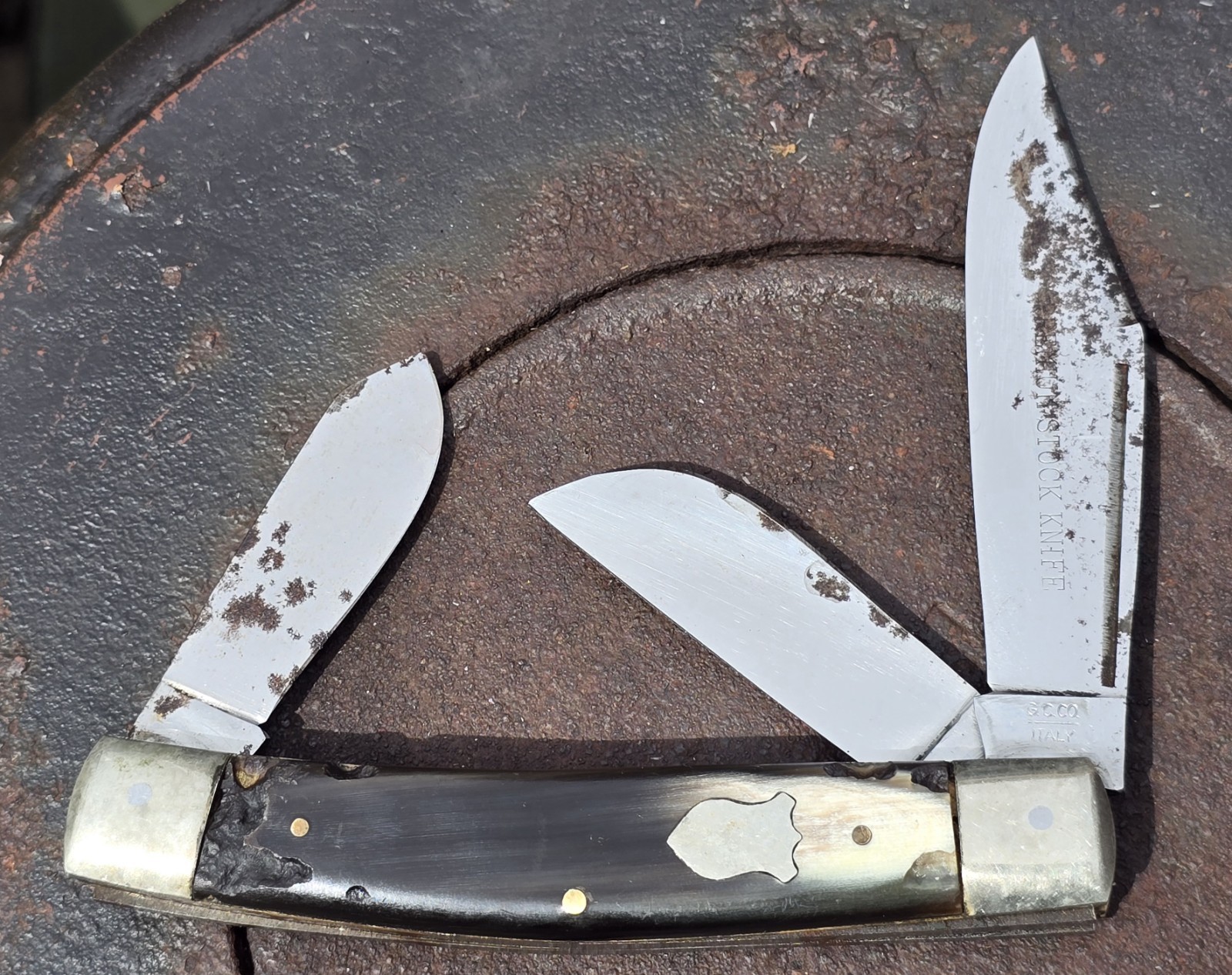 vintage G.C. CO. Italy Premium LARGE Stock Knife Horn Handle Scales 